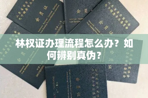 南昌林权证办理流程怎么办?如何辨别真伪?