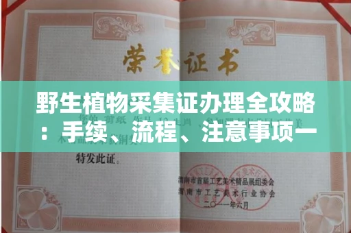 南昌野生植物采集证办理全攻略:手续、流程、注意事项一网打尽